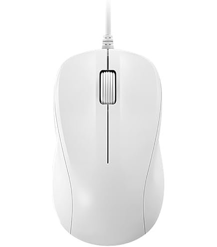 فأرة ديل السلكية MS116 — أبيض · اتصال USB · 1000 DPI | 570-AAIP